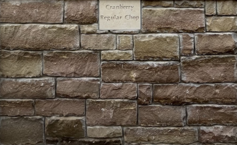Chowder Stone Lueders Stone in Georgetown, Pflugerville, & Round Rock | Legend Stone